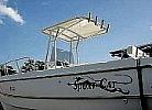 Fiberglass boat ttop